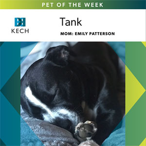 Pet of the week - KECH"