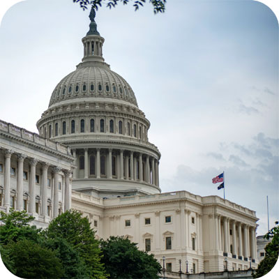 Bridging Sectors, Connecting Solutions - Government/Public Sector